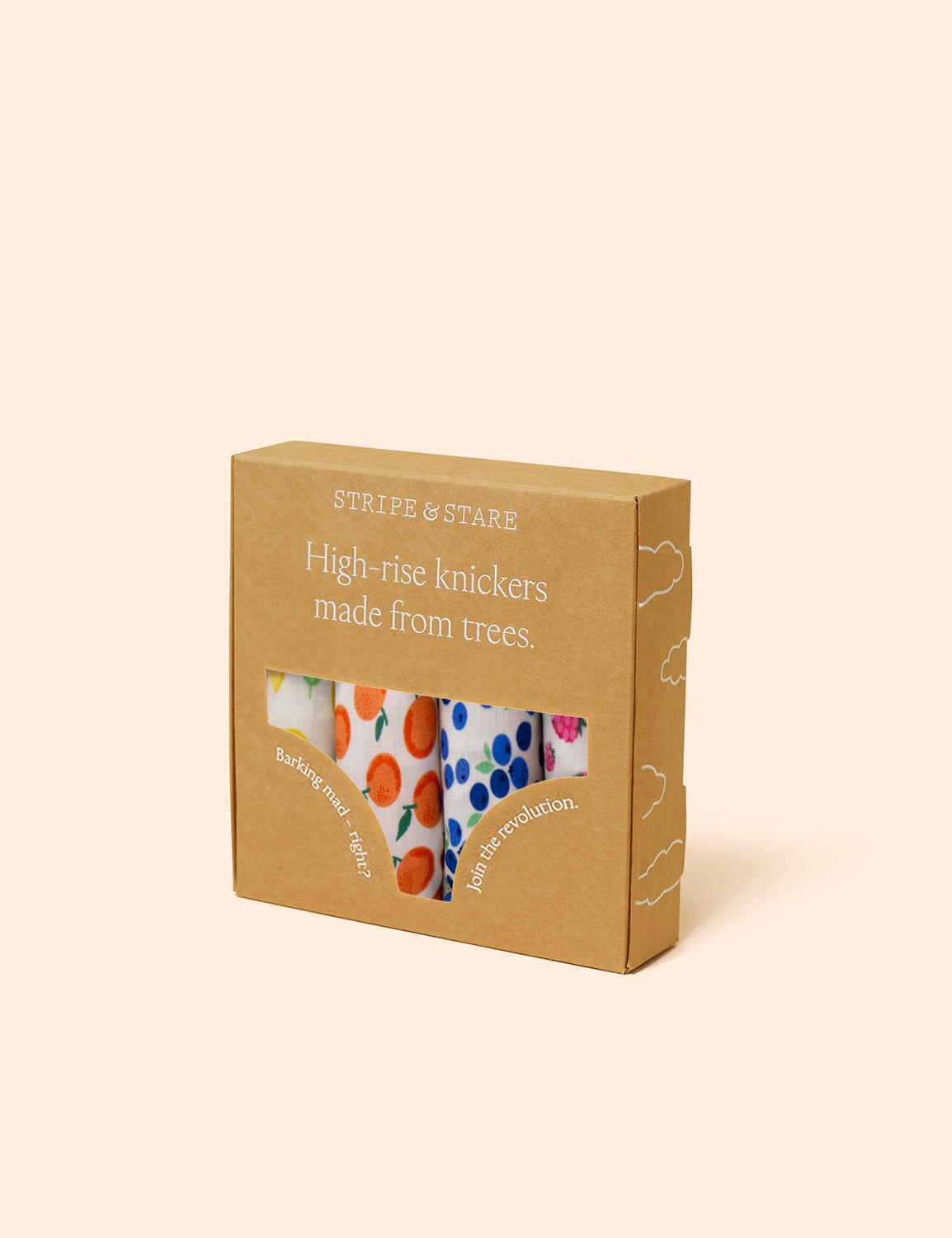 Emily English X S&S High Rise Knicker Four Pack - Fruit Smoothie Charming Garment Enterprises Co