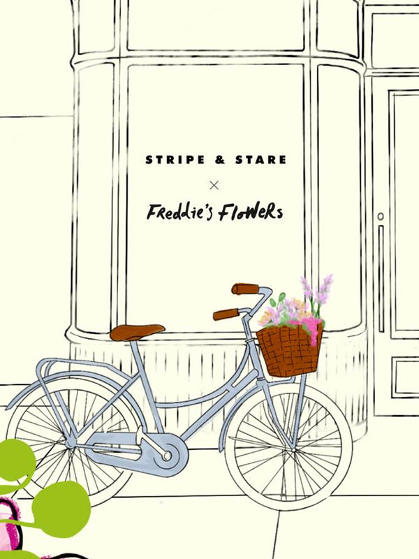 Stripe & Stare