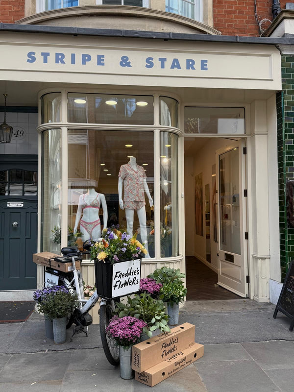 Stripe & Stare
