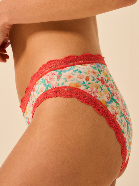 The Original Knicker Four Pack - Paradise Found