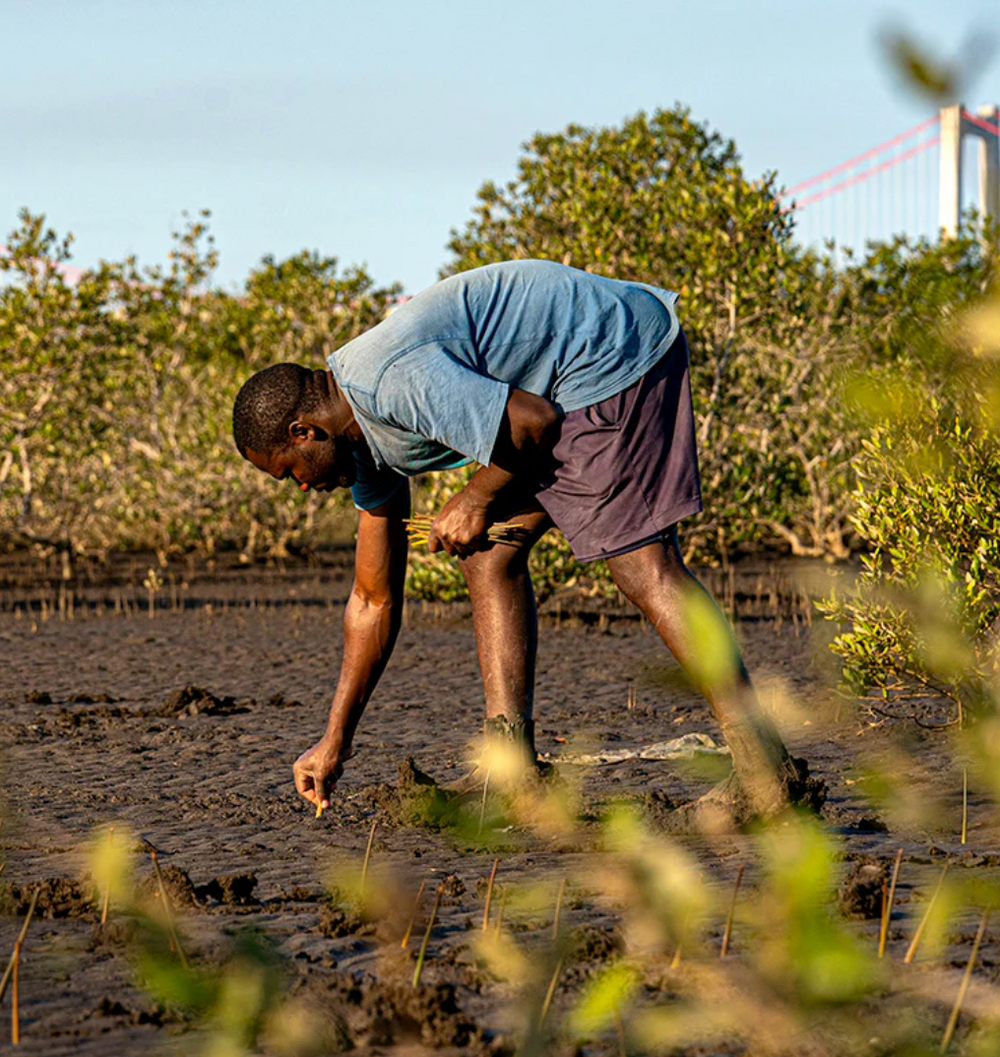 Man planting a tree in Madagascar